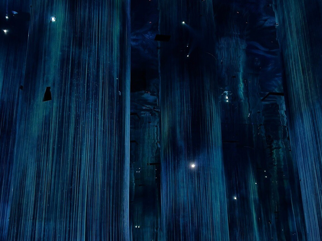 teamLab Phenomena Abu Dhabi-阿布扎比必去景点