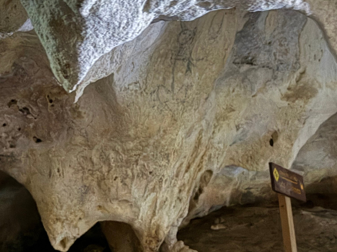 Sultana Tours & Experience-Sabana de la Mar必去景点