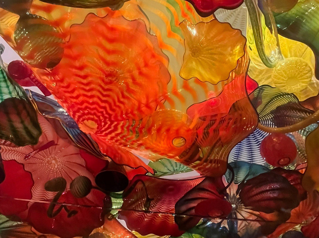 Chihuly Collection-圣彼德斯堡必去景点