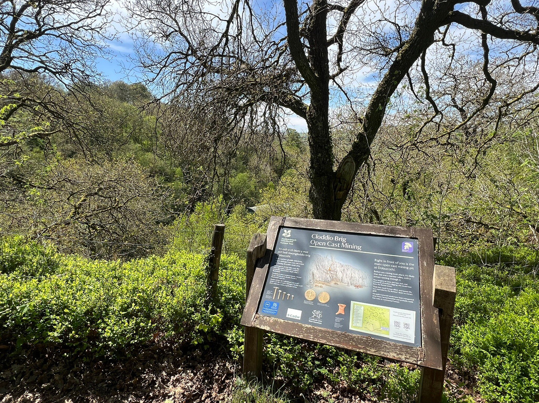 Dolaucothi Gold Mines-Llanwrda必去景点