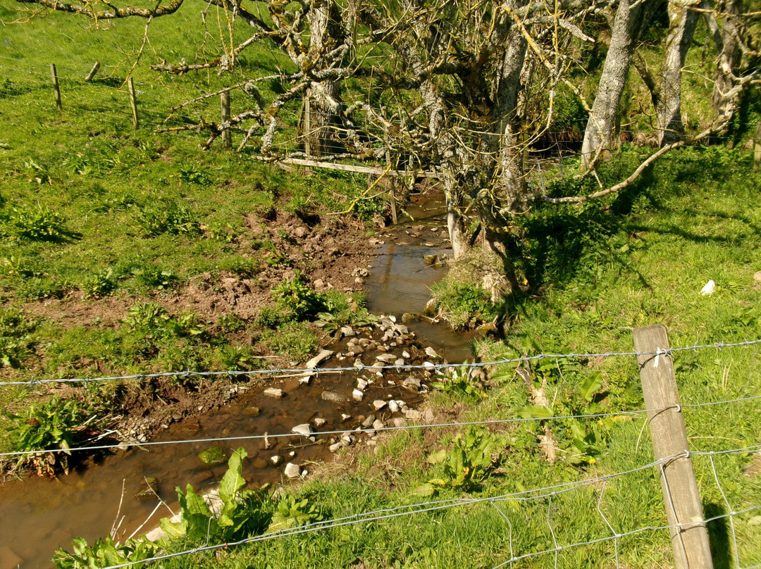 Newton Farm Holidays & Tours主图