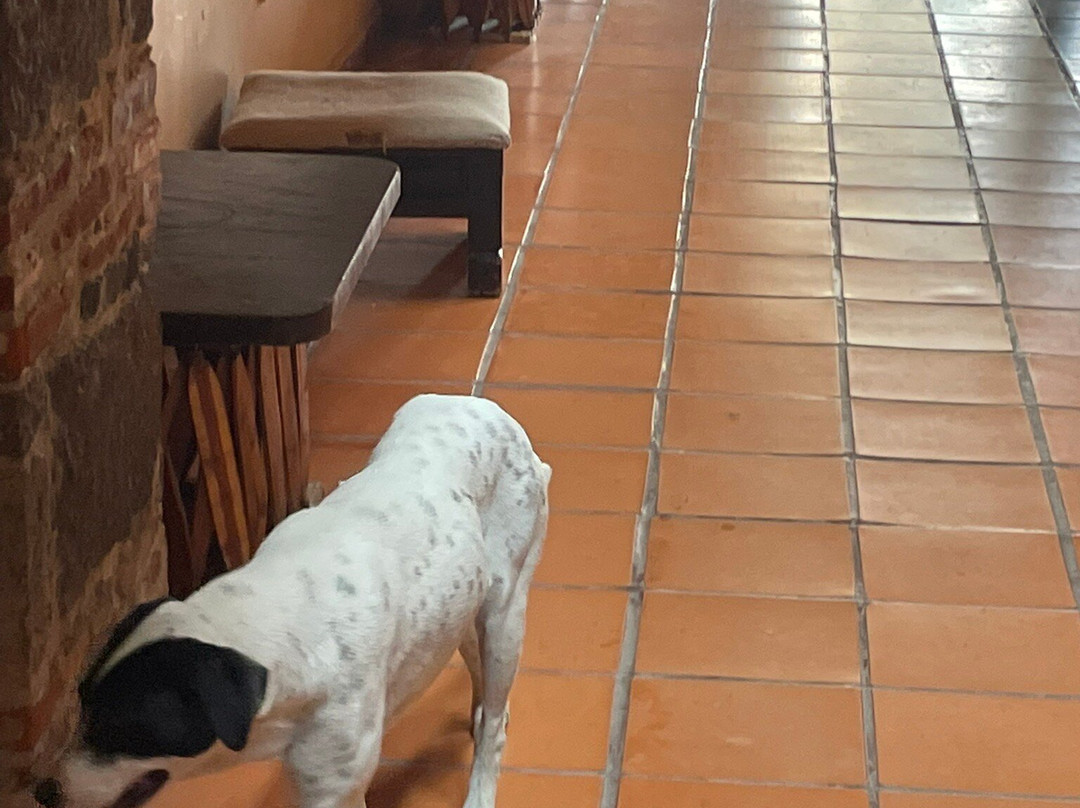 Ex-Hacienda de Chautla-San Martin Texmelucan de Labastida必去景点