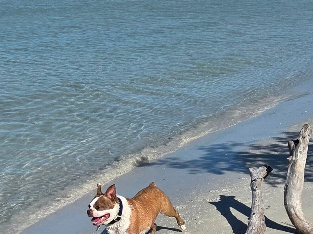 Bonita Springs Dog Park-博尼塔斯普林斯必去景点