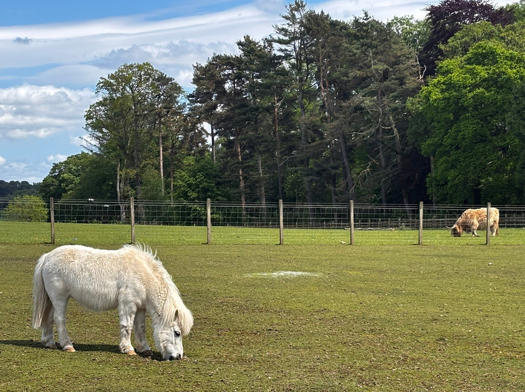 Muiravonside Country Park-福尔柯克必去景点