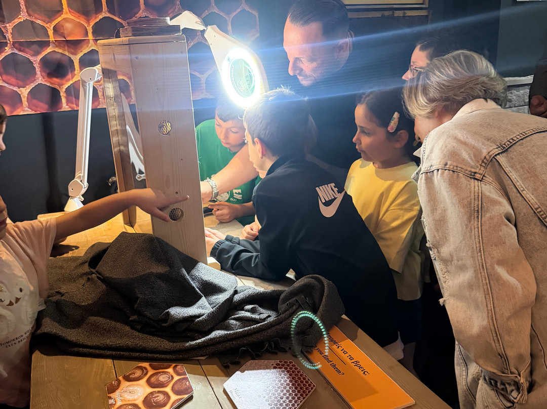 Bee Museum-诺帕克特斯必去景点