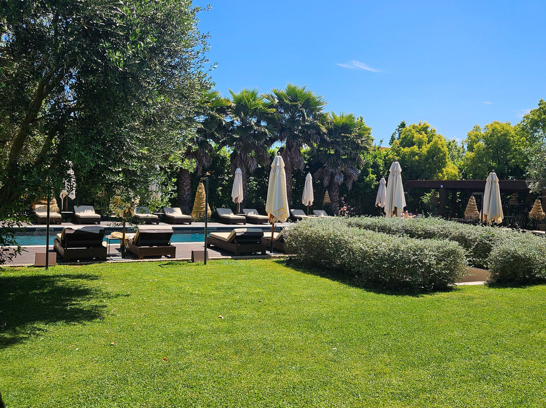 Santa Lucia Maccarese - Residenza Agricola主图