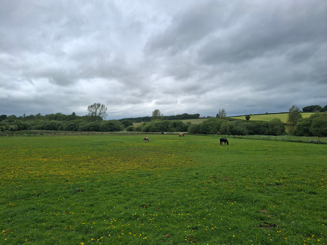 Mossburn Community Farm-Lockerbie必去景点