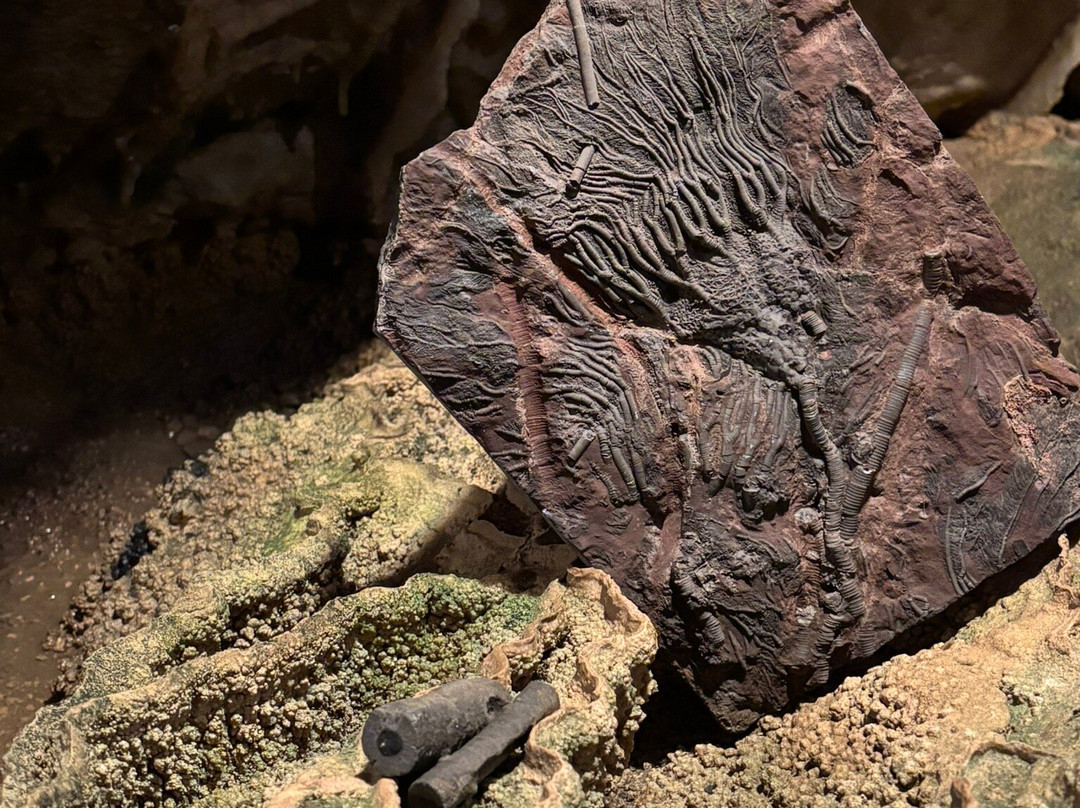 Stump Cross Caverns-Pateley Bridge必去景点