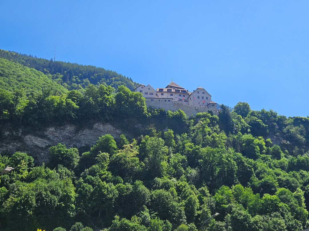 Vaduz Castle-瓦杜兹必去景点
