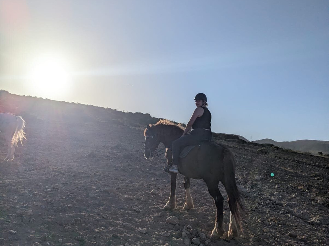 El Salobre Horse Riding-马斯帕洛马斯必去景点