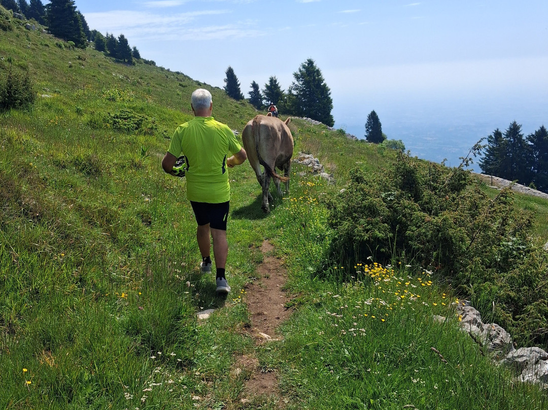 Giro delle Malghe di Caltrano