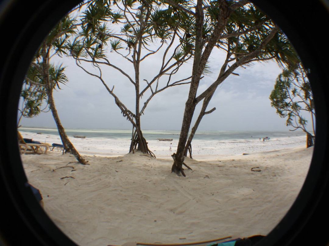 Pwani Mchangani Beach-Pwani Mchangani必去景点