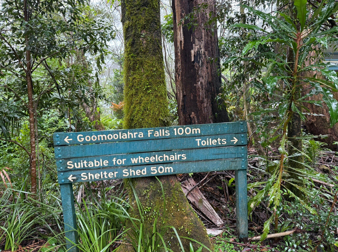Goomoolahra Falls-春之泉必去景点
