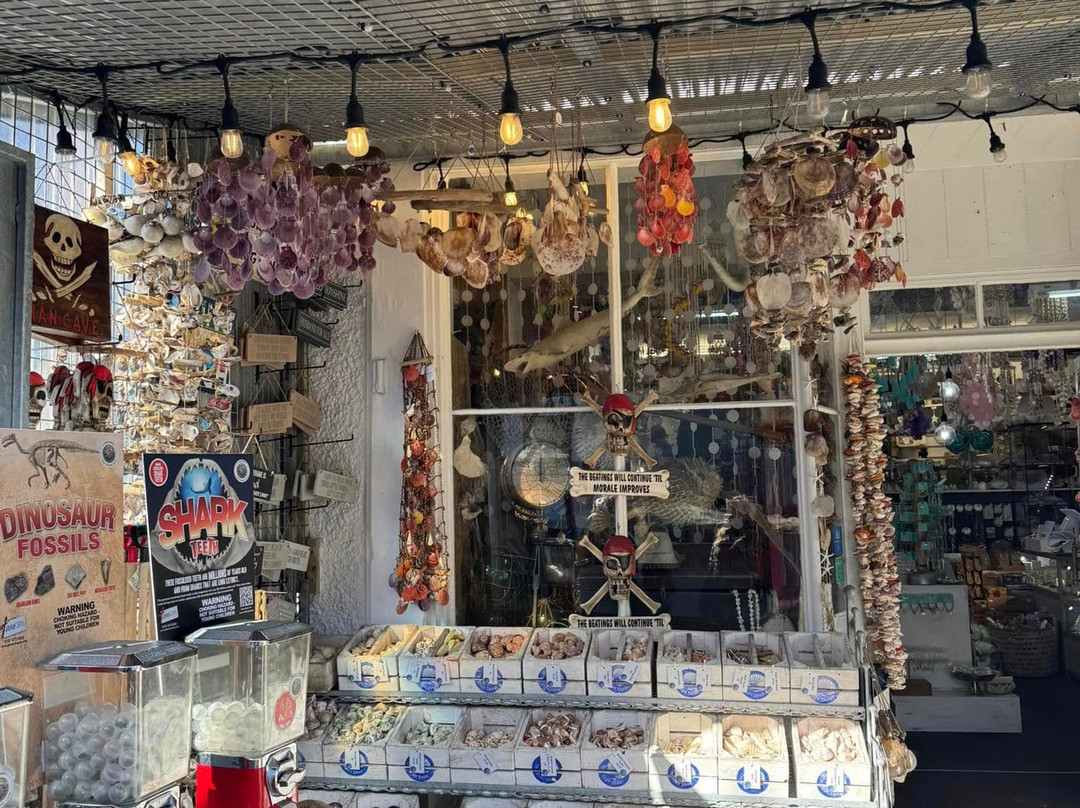 The Shell Shop-纽基必去景点