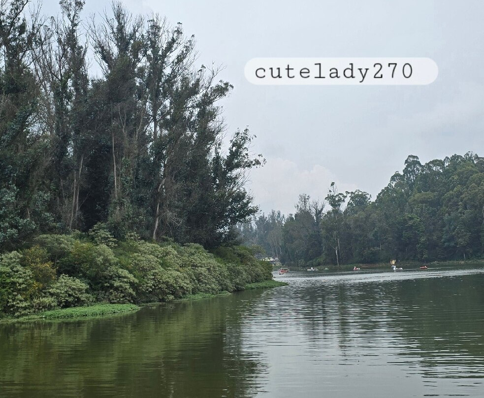 Ooty Lake-乌提必去景点