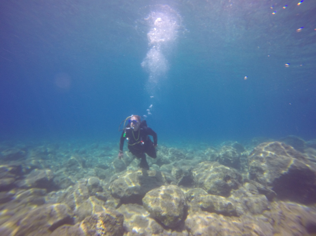 Royal Octopus DIVE CENTER-Kolymbari必去景点