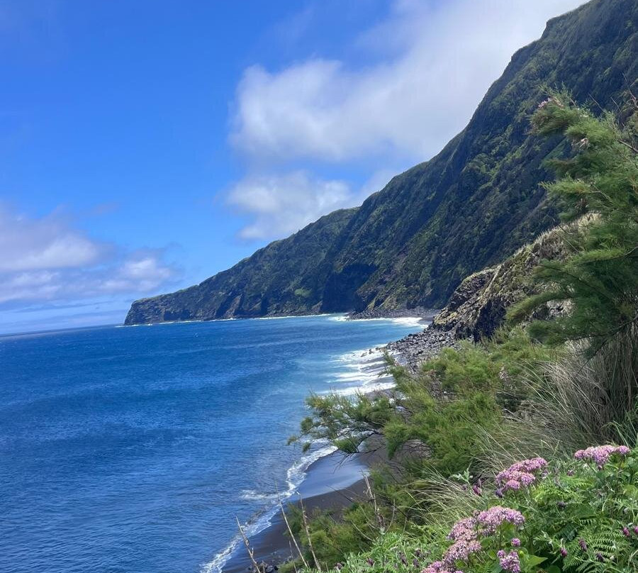 Endemic Azores-奥尔塔必去景点