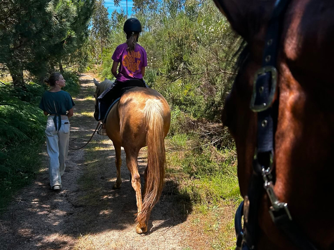 ATV & Horse Tours Central Portugal-Nogueira do Cravo必去景点