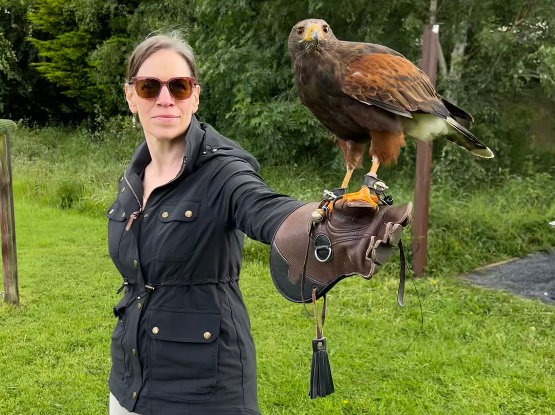 Hawkeye School of Falconry-基尔肯尼必去景点