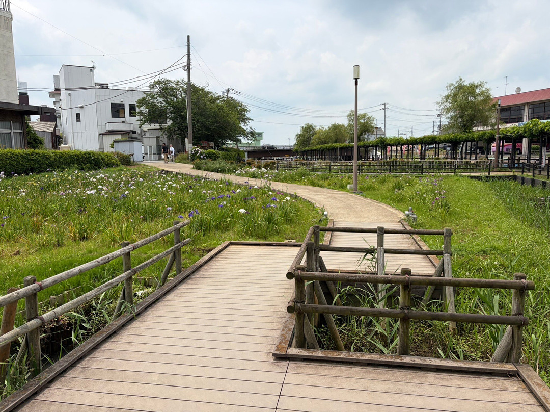 Suigo Itako Ayame Garden-潮来市必去景点