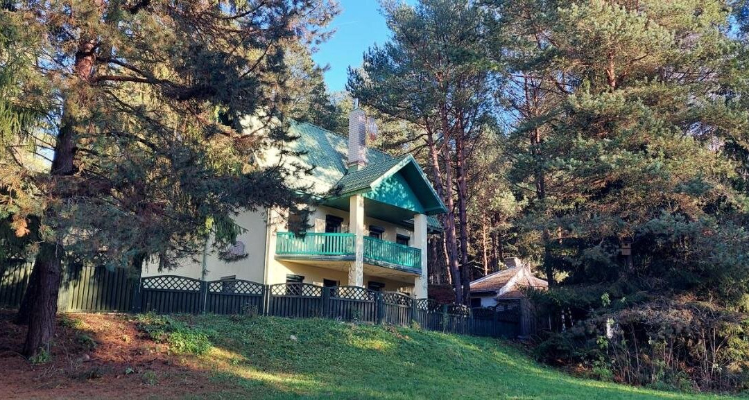 Zalioji vila