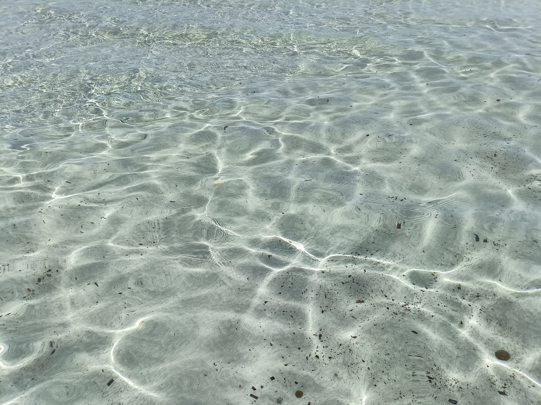 Cala Brandinchi-Capo Coda Cavallo必去景点