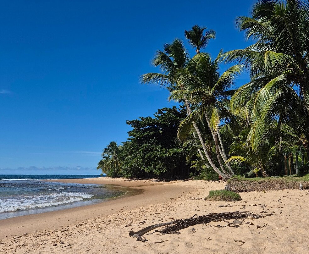 Tres Coqueiros Beach-Barra Grande必去景点
