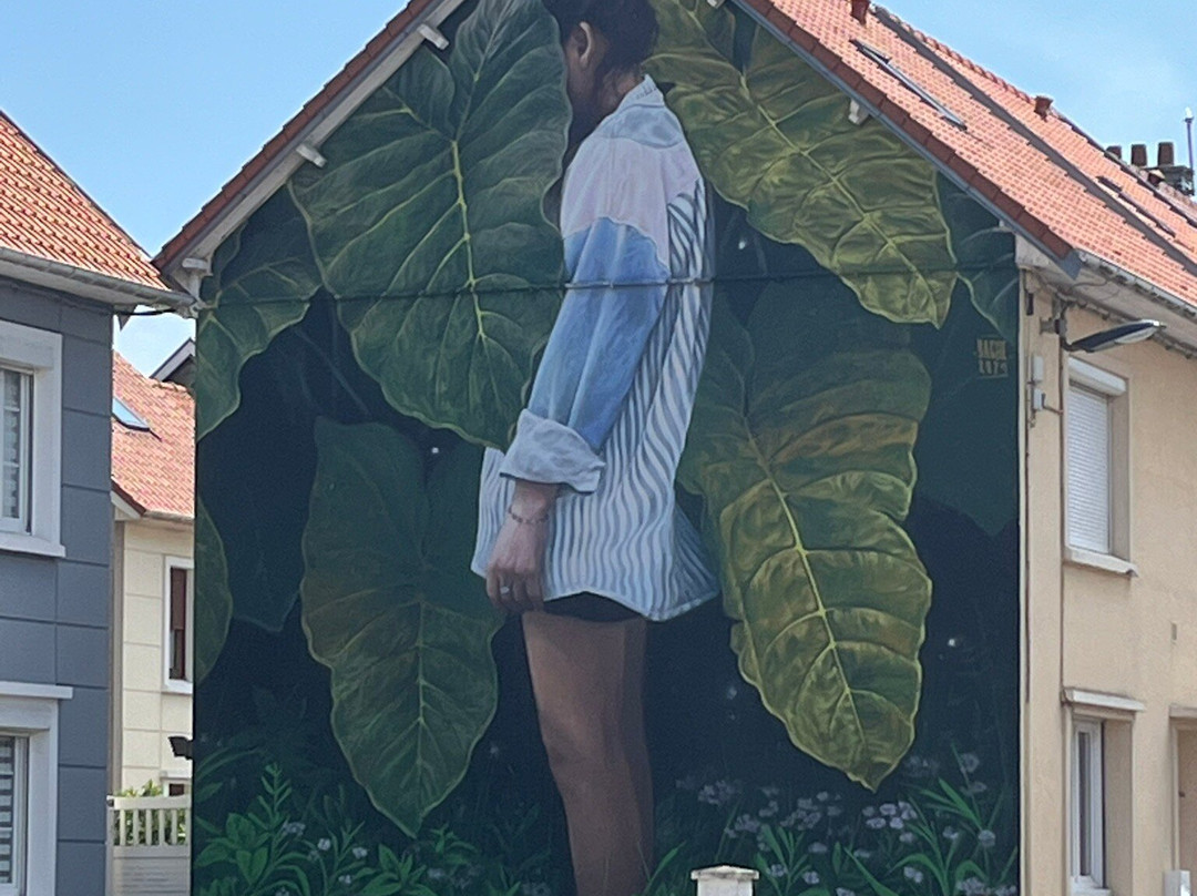 Visites Guidée Street Art-滨海布洛涅必去景点