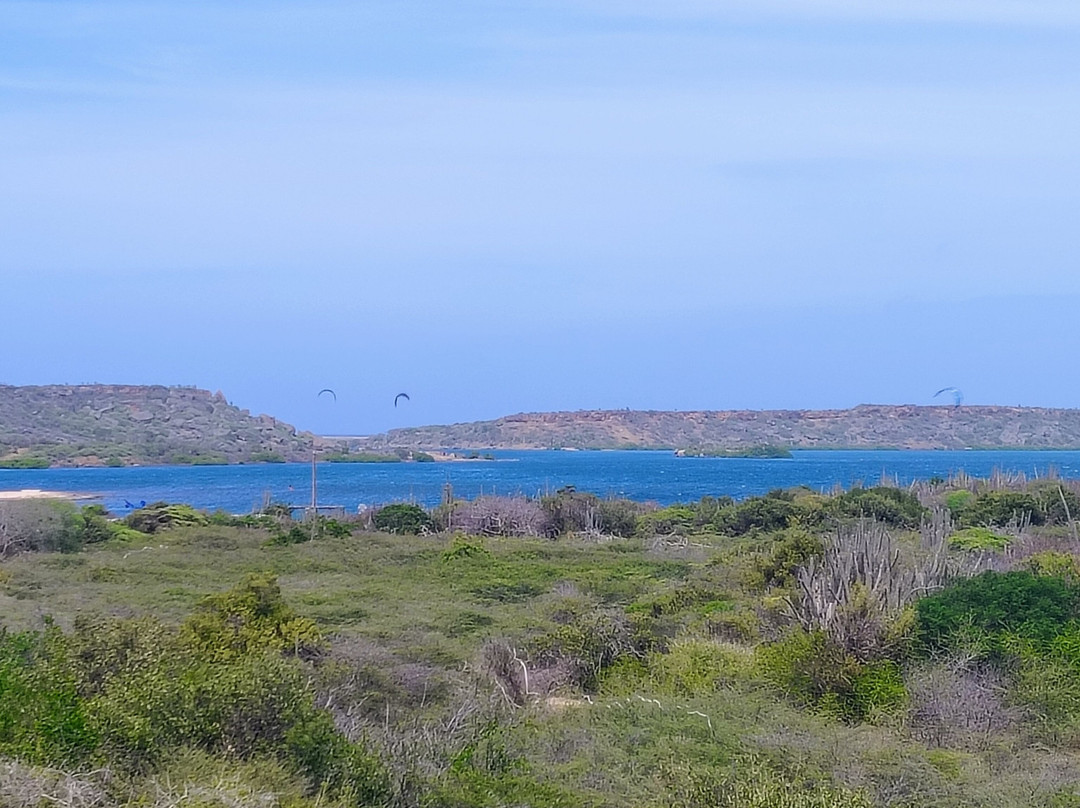 Curacao Ostrich Farm-库拉索必去景点
