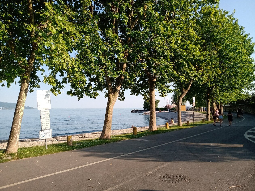 Spiaggia Degli Ulivi