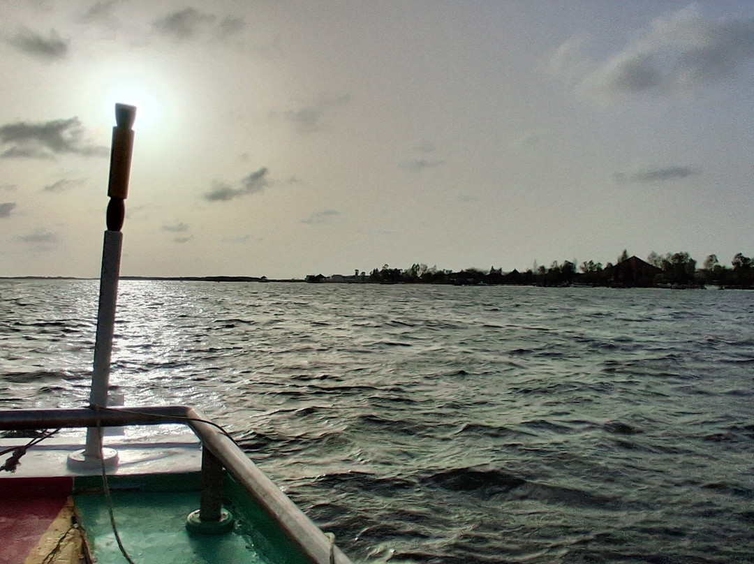 Iles du Saloum Decouverte-Ndangane必去景点