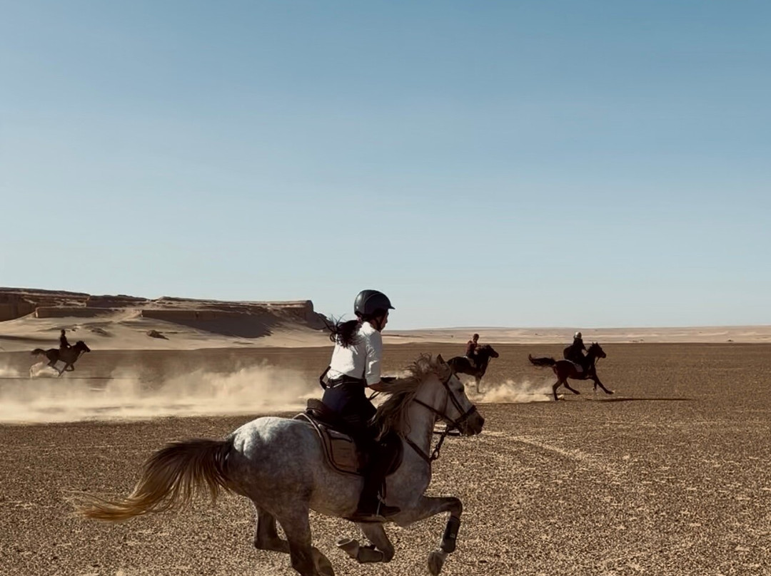 Horse Trips Egypt-Tunis必去景点