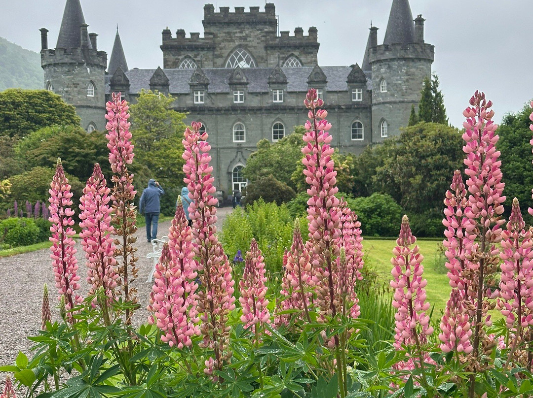 Inveraray Castle & Gardens-因弗雷里必去景点