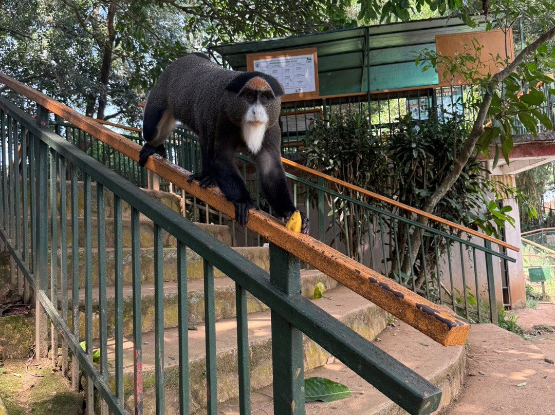 Entebbe Zoo-恩德培必去景点