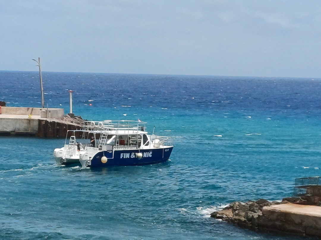 Sea Saba Dive Center-Windwardside必去景点