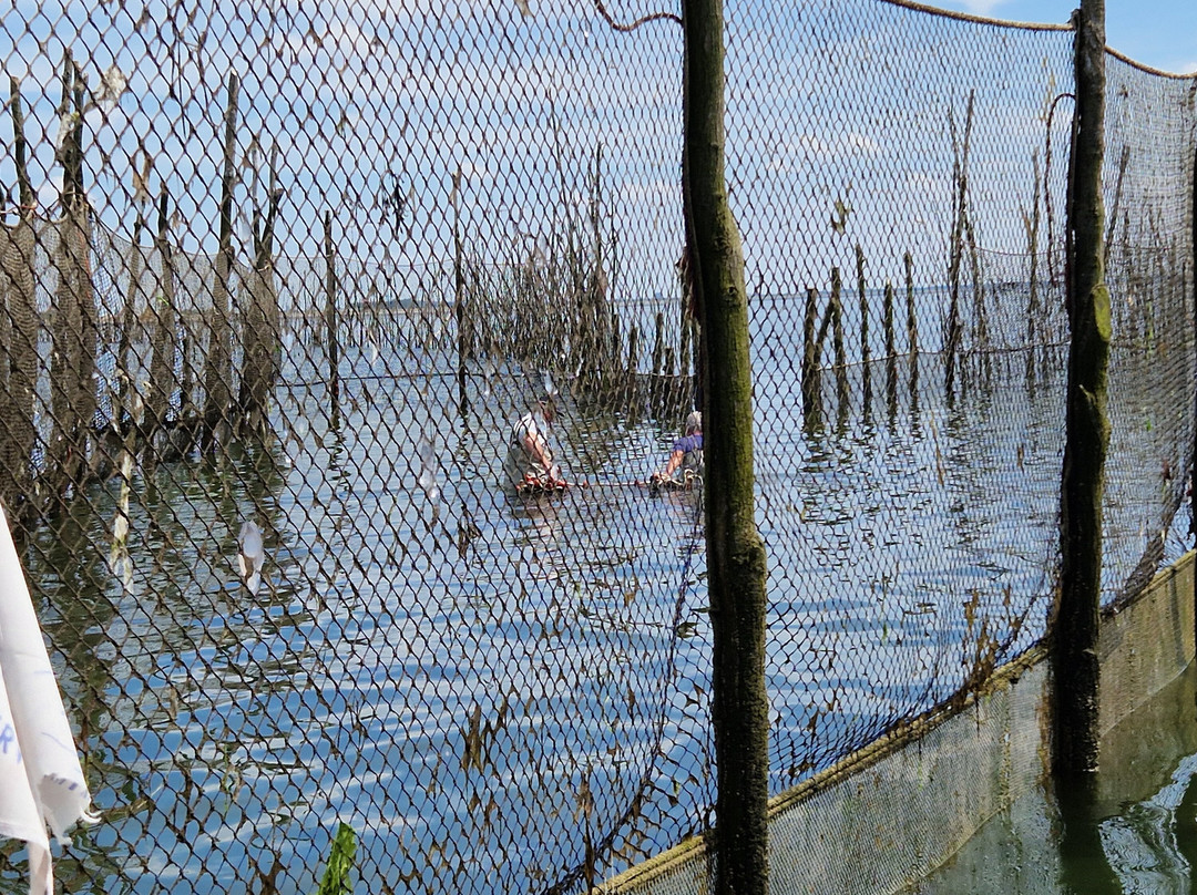 Strand Bergsediepsluis