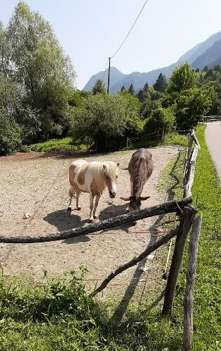 Ciclabile della Valsugana-莱维科泰尔梅必去景点