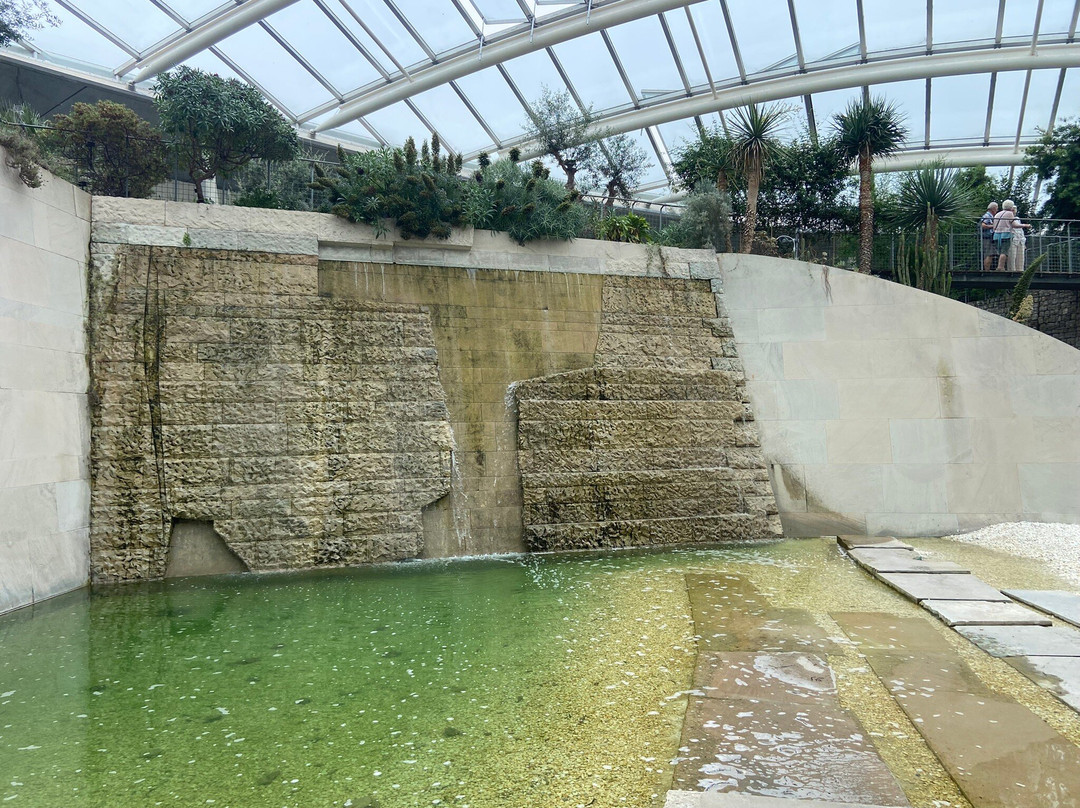National Botanic Garden of Wales-Llanarthney必去景点