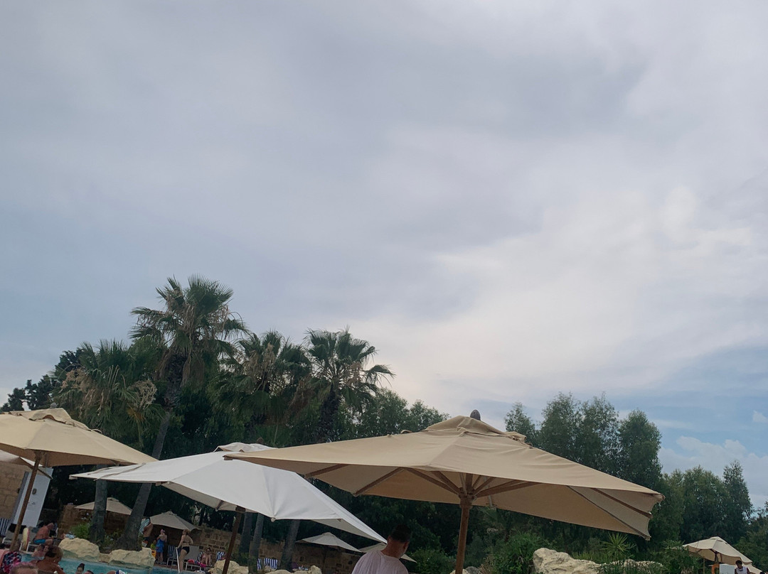 麦地那日光浴及海水浴酒店主图