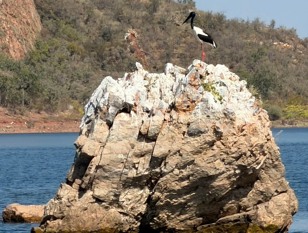 Lake Argyle Tours "Kimberley Durack"-库努纳拉必去景点