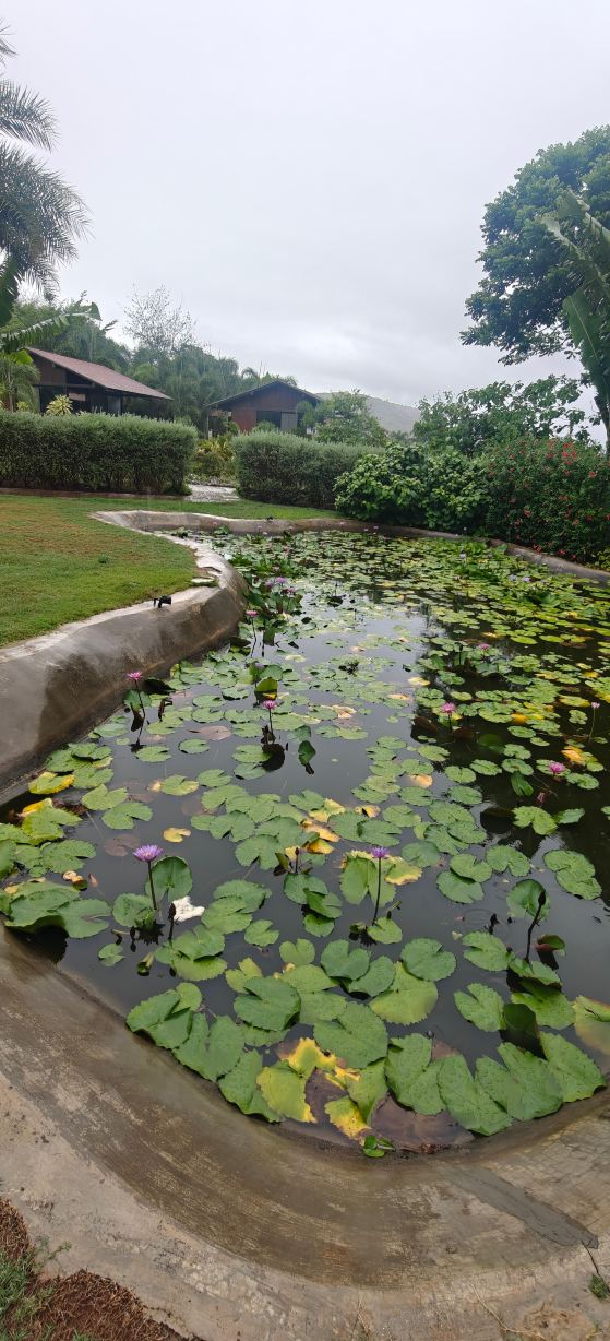 苏拉索斯购物中心-旅行者