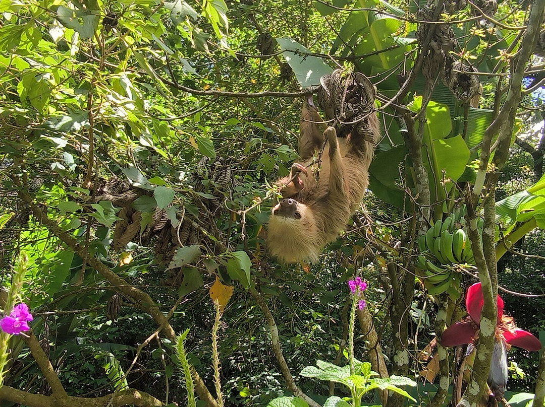 Natuwa Wildlife Santuary-彭塔雷纳斯必去景点