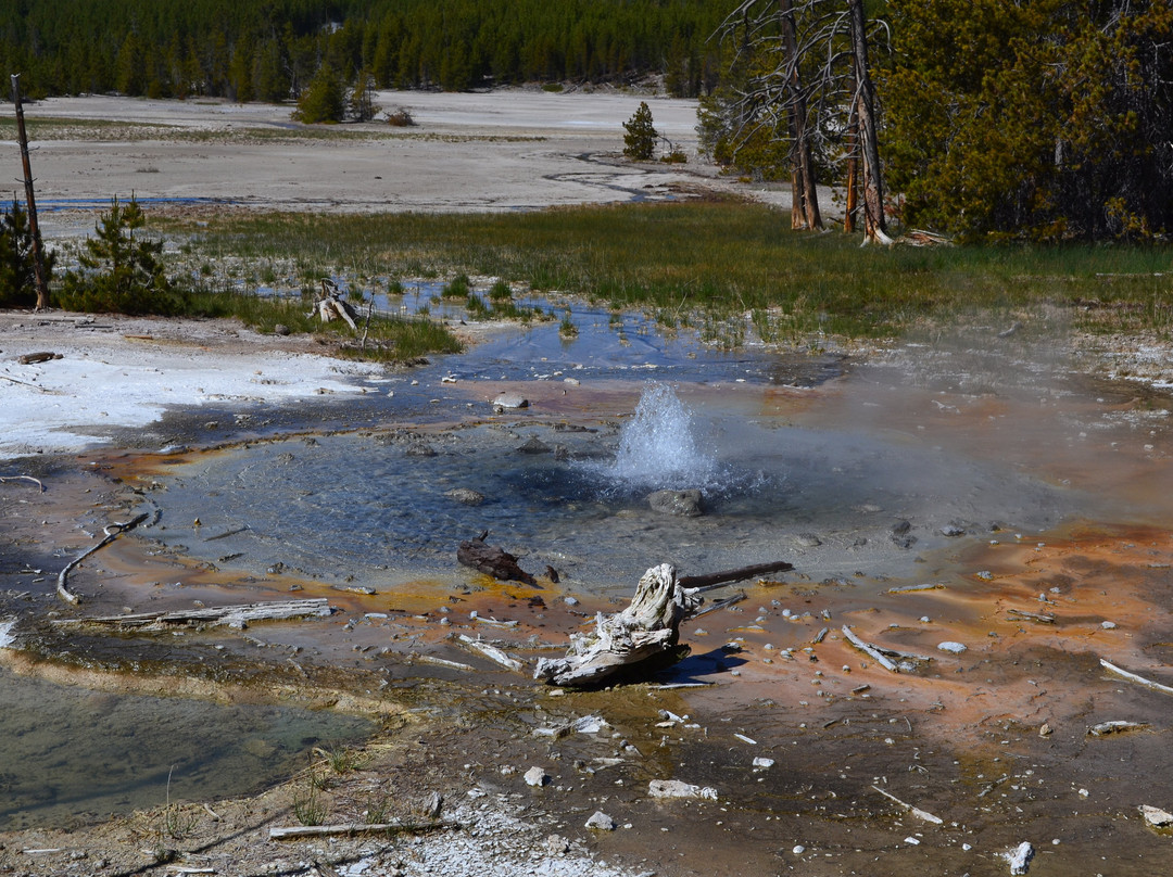 Yellowstone National Park-黄石国家公园必去景点