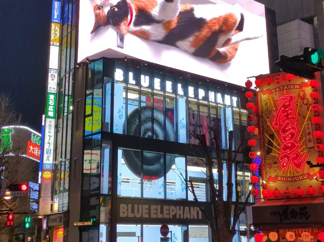 Giant 3d Cat Display Billboard-Shinjuku 3 Chome必去景点