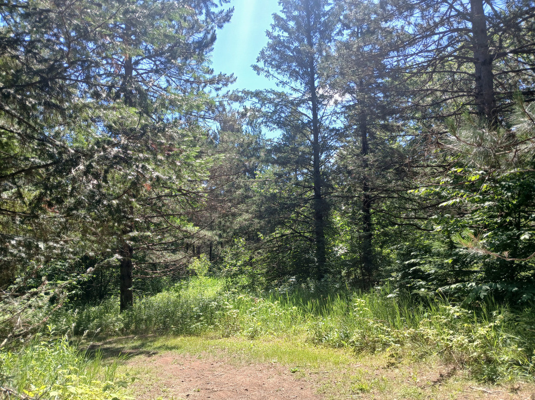 Moose Lake State Park-Moose Lake必去景点