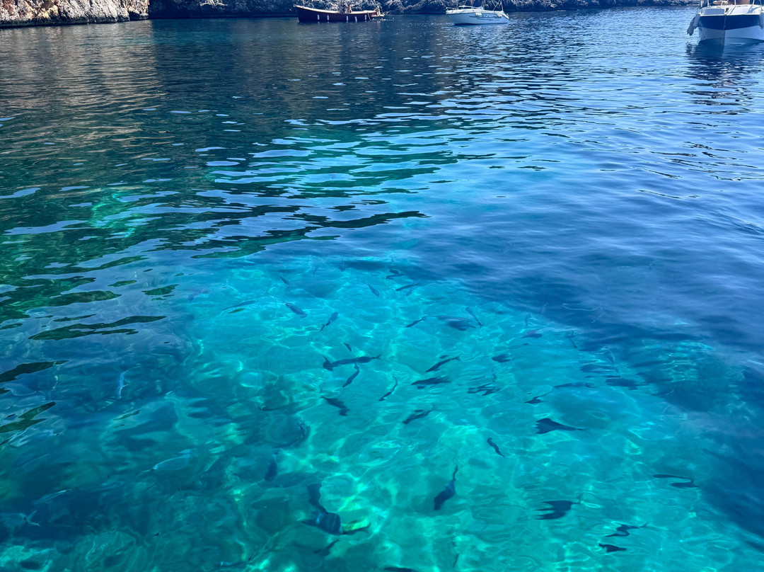 Cilento Snorkeling-Marina di Camerota必去景点