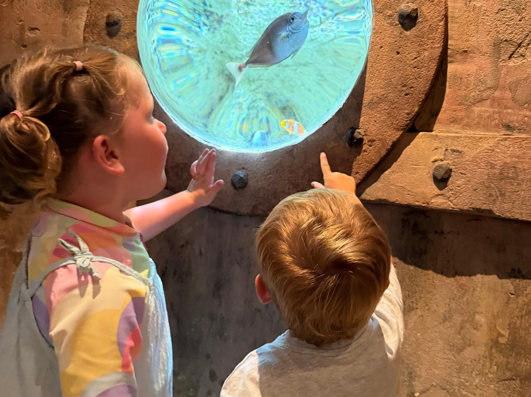 Lanzarote Aquarium-科斯塔特吉塞必去景点