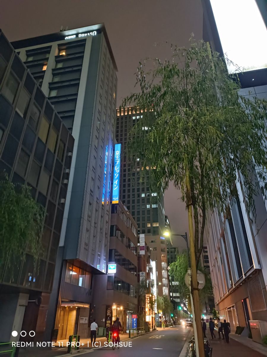 东京站八重洲京王布莱索酒店-旅行者
