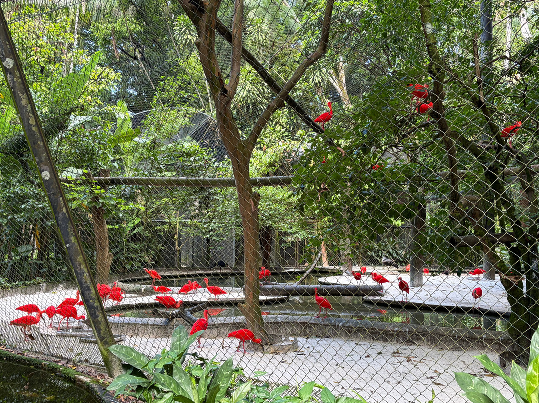 Museu Paraense Emílio Goeldi-贝伦必去景点
