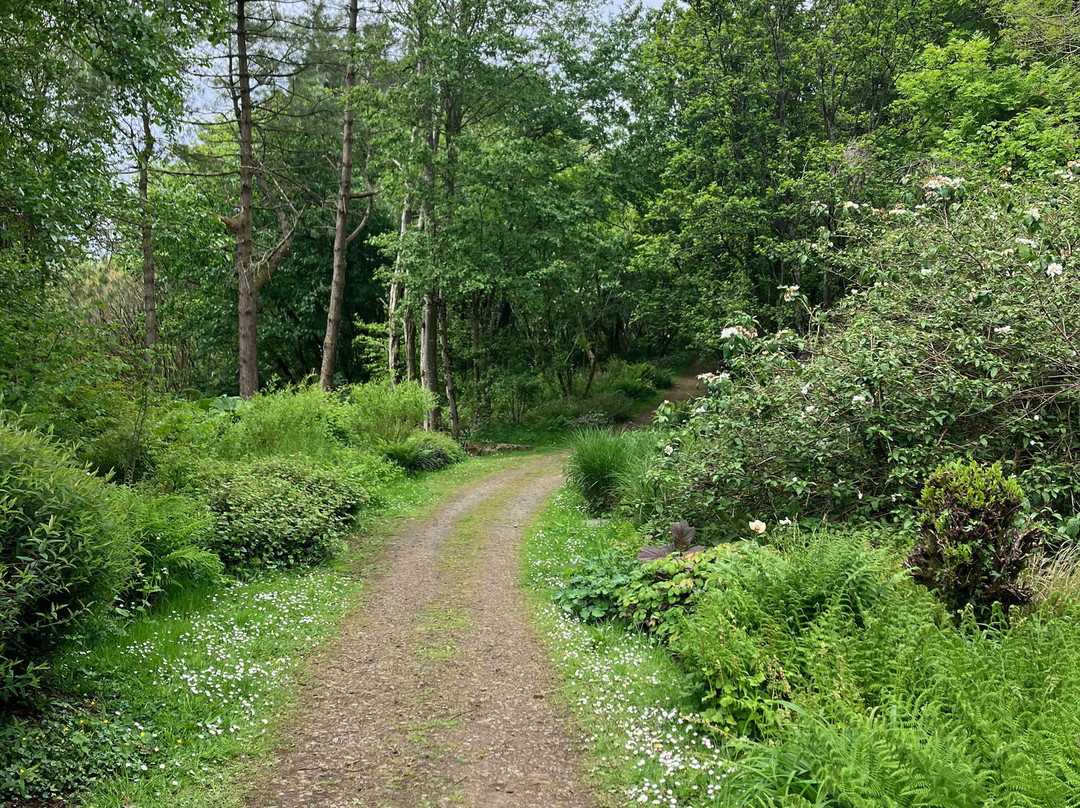 Stone Lane Gardens-Chagford必去景点